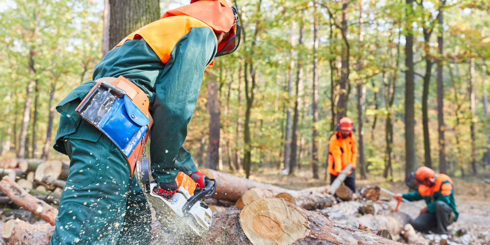 forestry_insurance